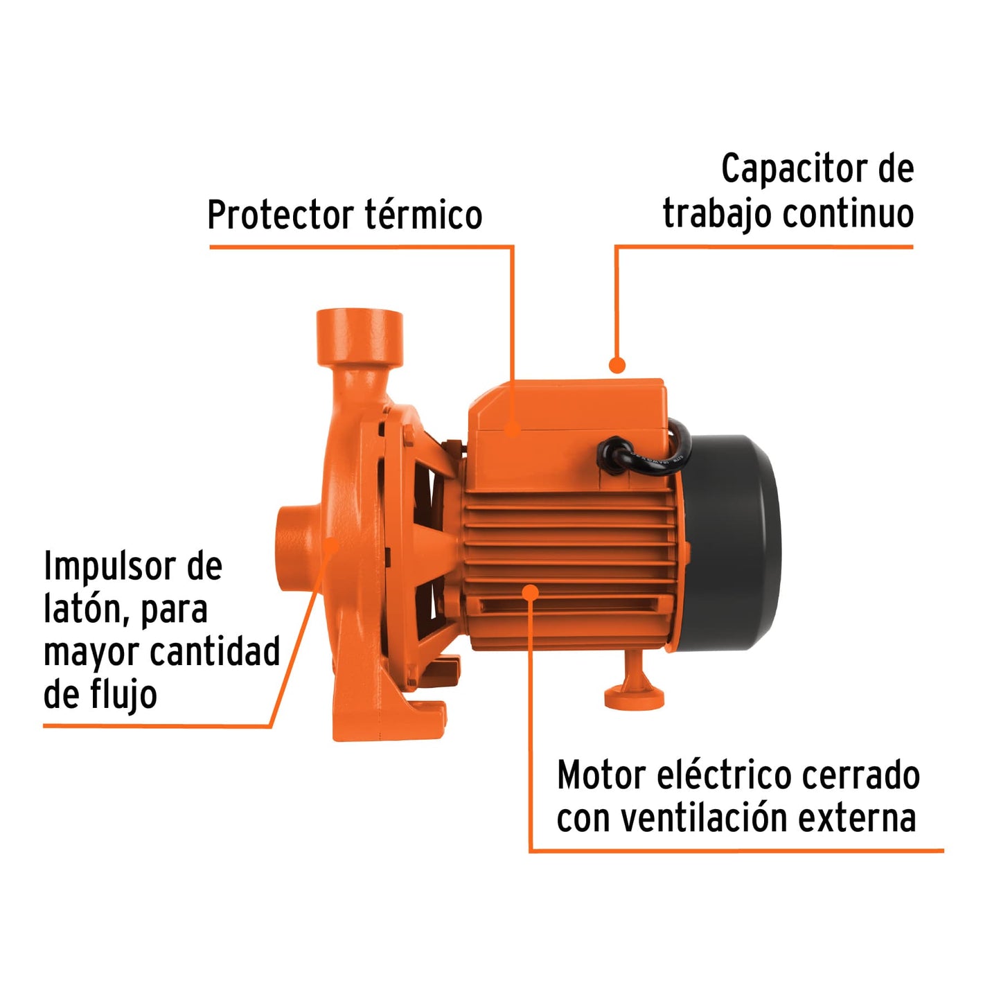 Bomba centrifuga para agua modelo europeo 1/4 HP Expert 10071 Pieza