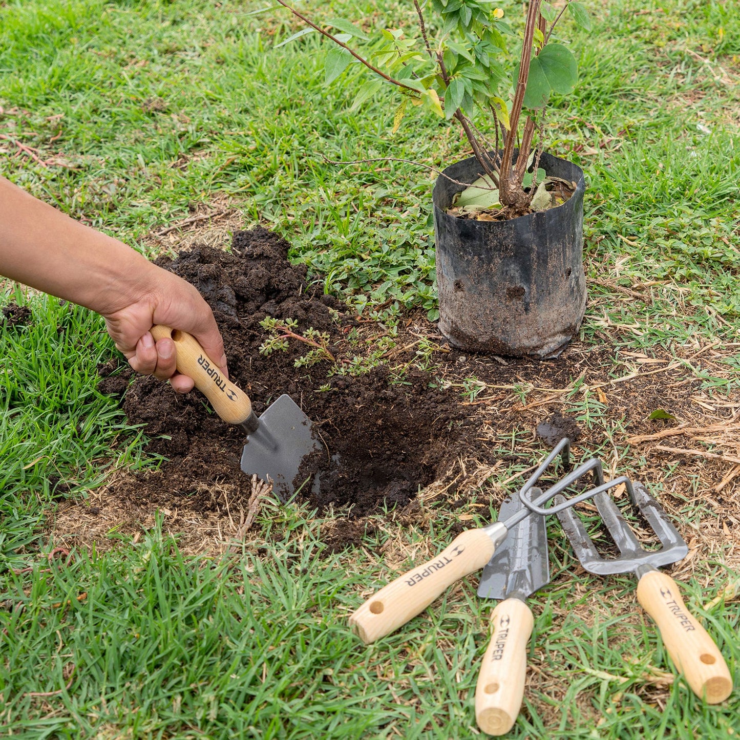 Juego herramientas para jardín 4 piezas 6 15030 Truper Pieza