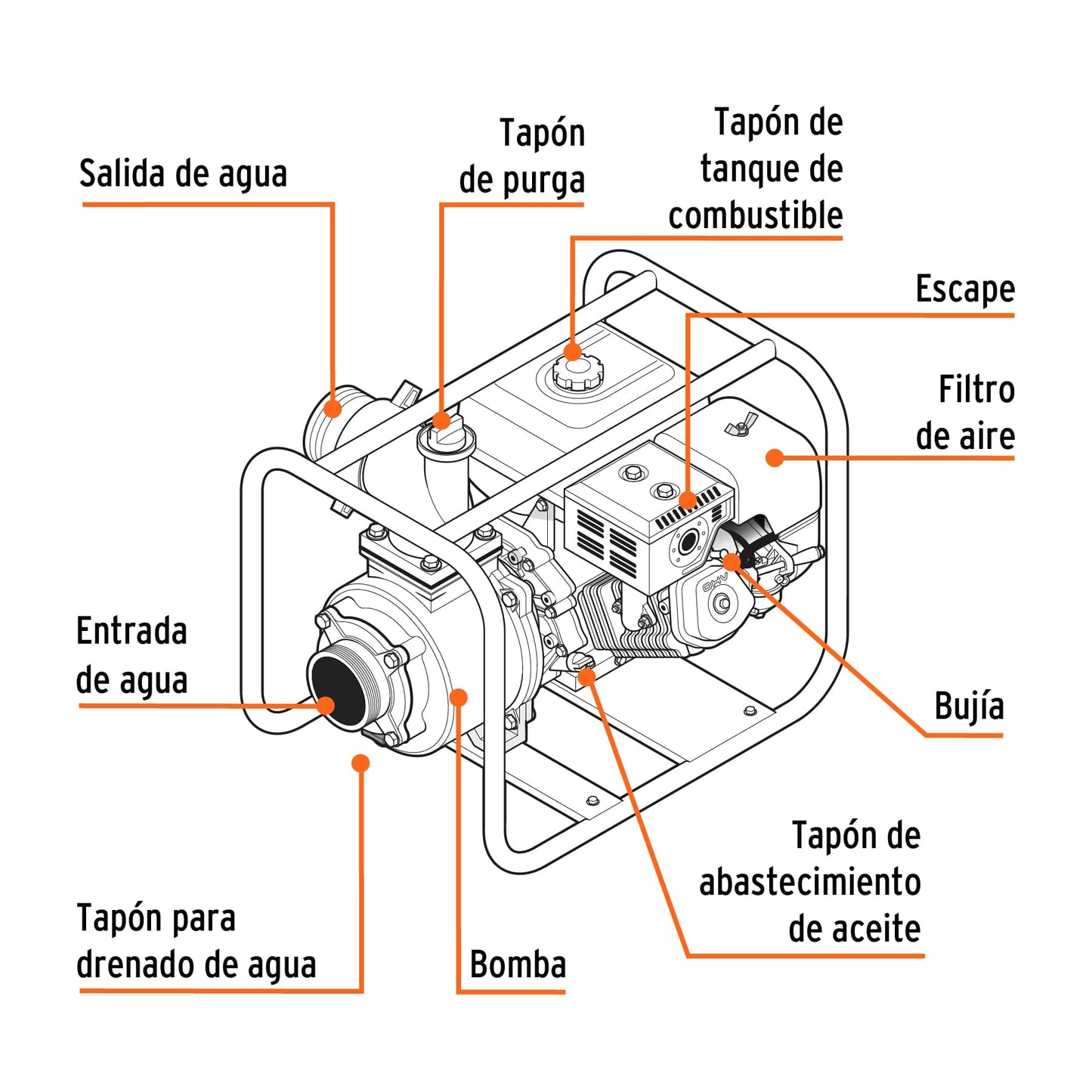 Motobomba autocebante 2p x 2p a gasolina 7 hp 17116 truper Pieza